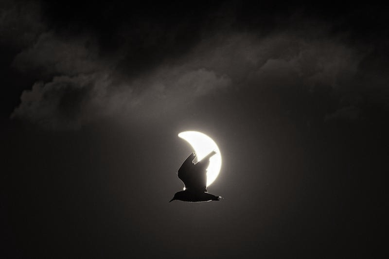 Jak fotografować księżyc aparatem cyfrowym? Ustawienia na ostre zdjęcia