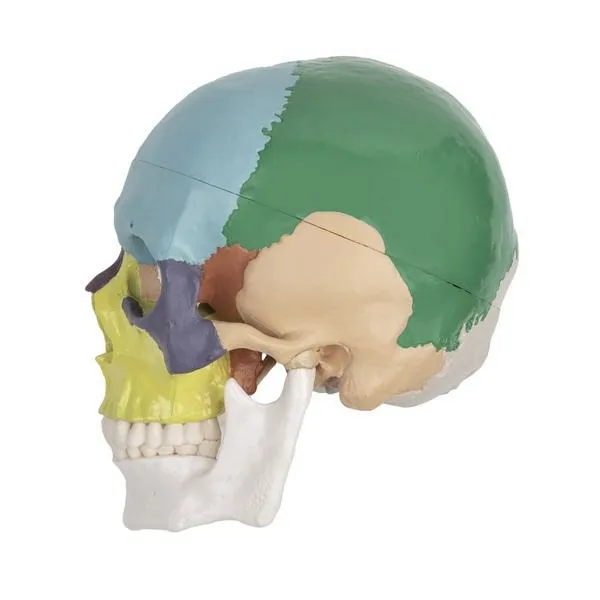 Jak stworzyć perfekcyjny model do drukarki 3D w kilku prostych krokach