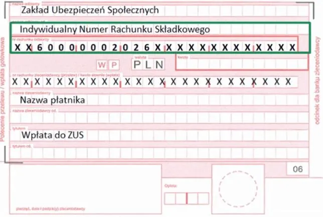 Błędy przy przelewie do ZUS