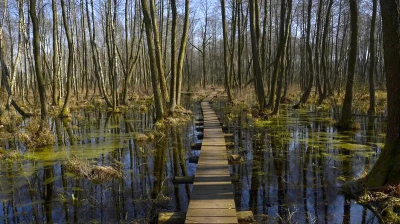 Fotografia przyrodnicza