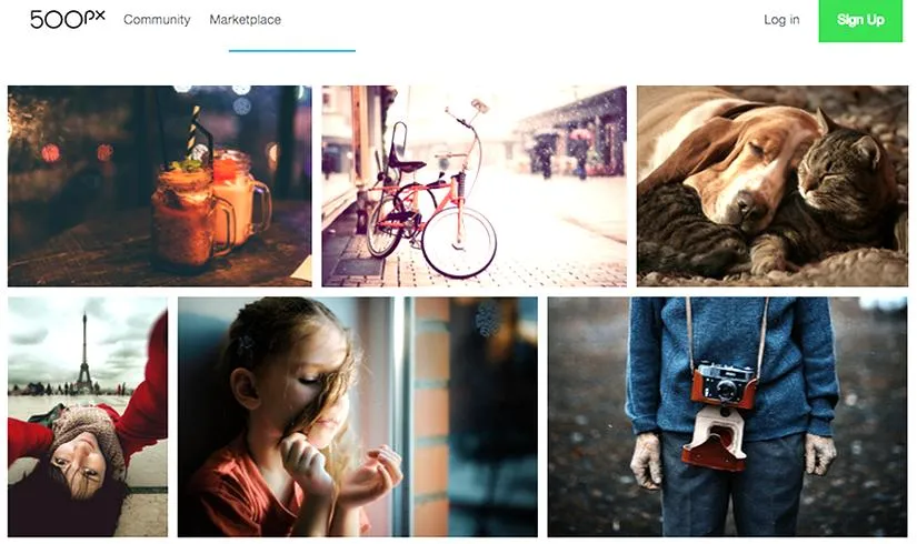 Jak stworzyć portfolio