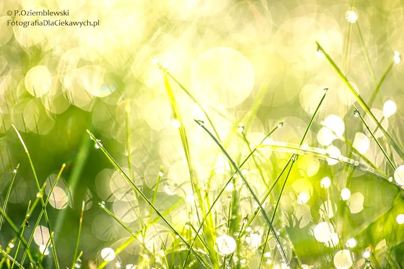 Jak uzyskać efekt bokeh