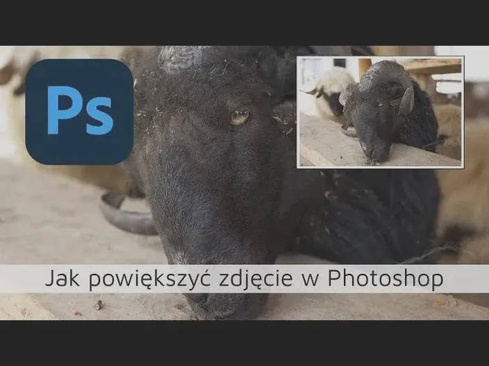 Jakość obrazu w Photoshopie