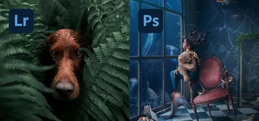 Licencja Photoshop