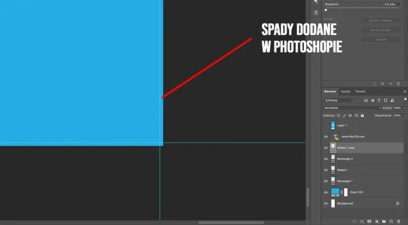 Praca graficzna