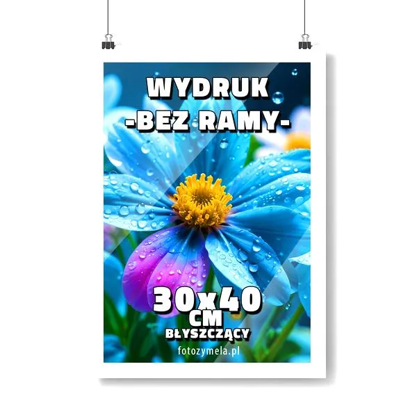 Ustawienia drukarki