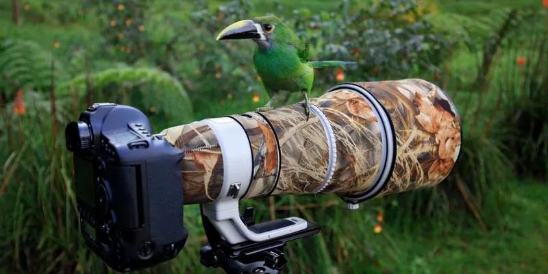 Wybór obiektywu do fotografii
