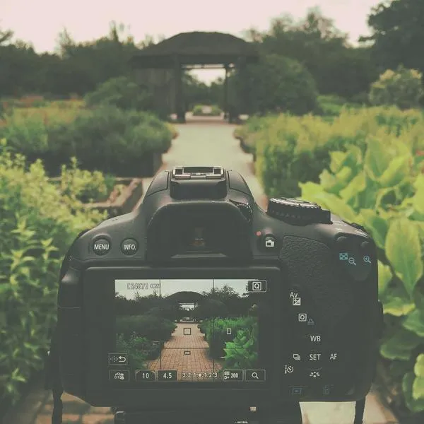 Wykorzystanie światła w fotografii