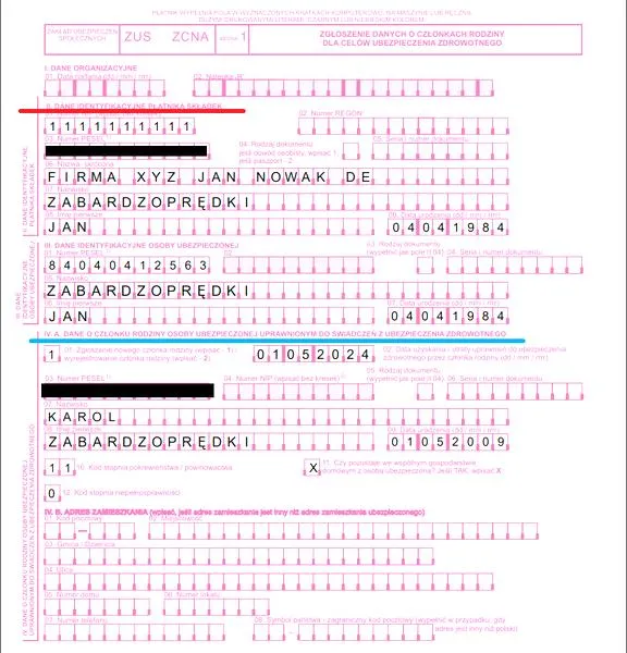 Wypełnianie formularza ZUS