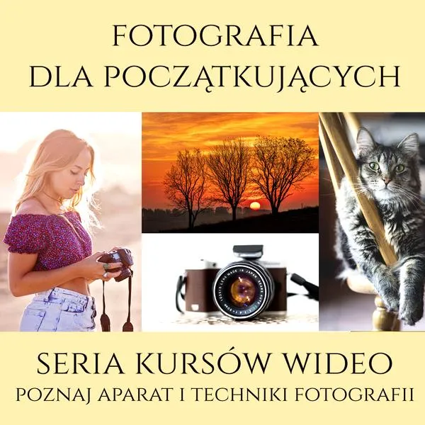 Zasady kompozycji i światła